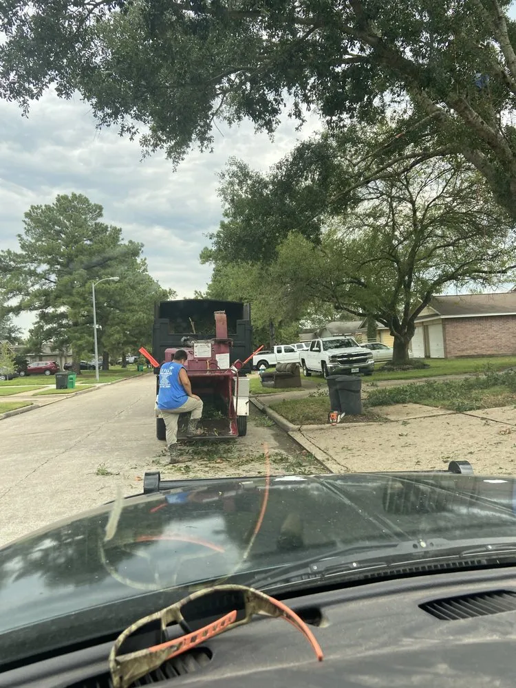 Local yard maintenance experts serving Magnolia, TX - Franks Expert Tree