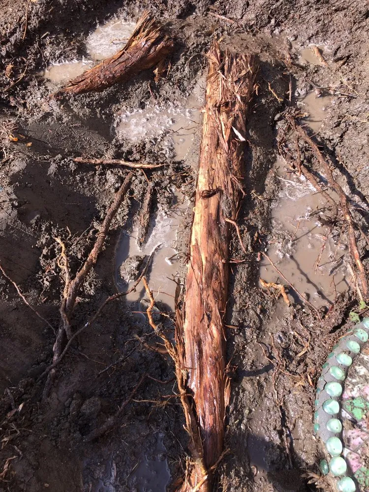 Custom landscaping services in La Palma, CA by Frank's Gardening Service