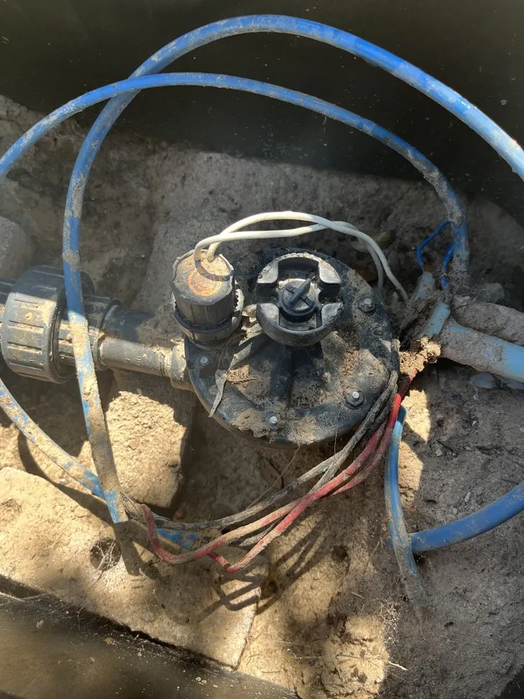 Expert yard maintenance in Houston, TX - Frank's Irrigation Repair