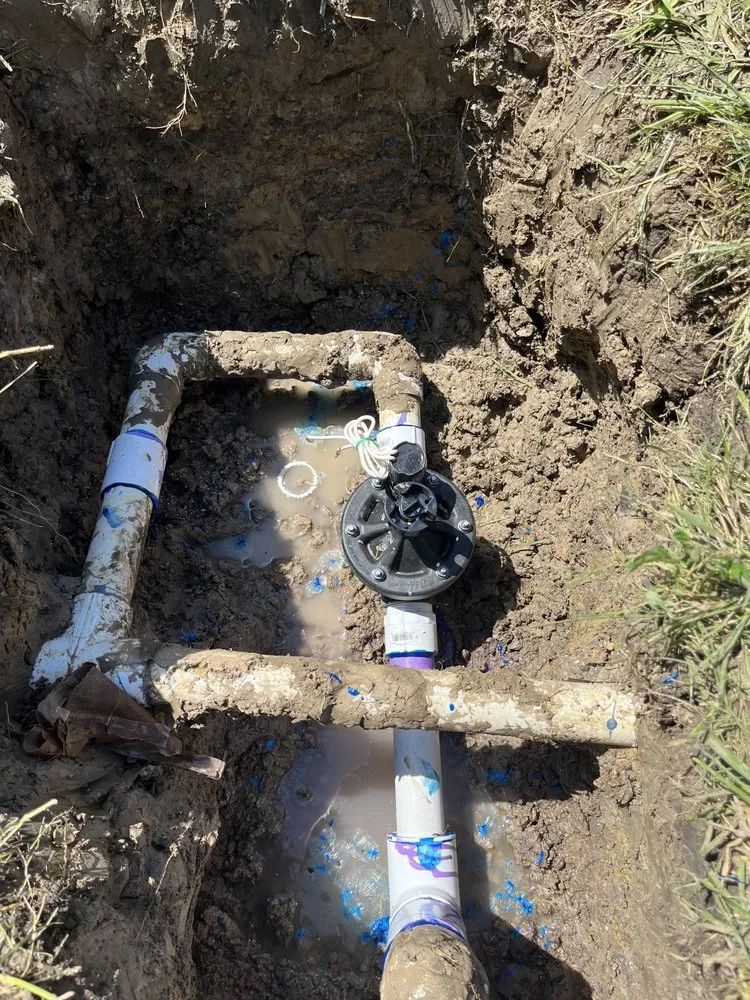 Custom yard cleanup service in Houston, TX by Frank's Irrigation Repair