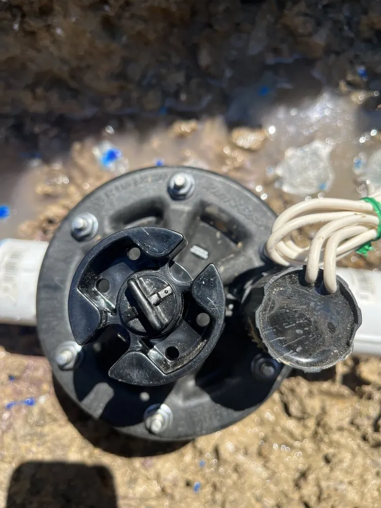 Local yard maintenance in Houston, TX by Frank's Irrigation Repair