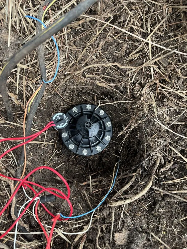 Top-rated lawn care service for homes in Houston, TX by Frank's Irrigation Repair