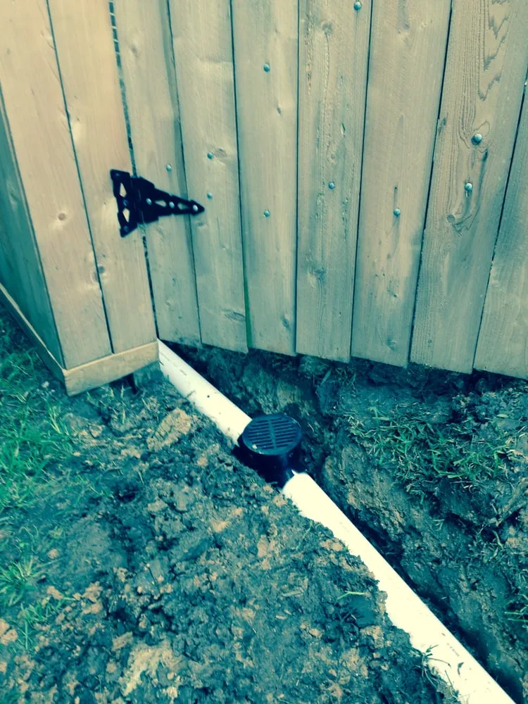 Custom yard maintenance in Houston, TX by Frank's Irrigation Repair