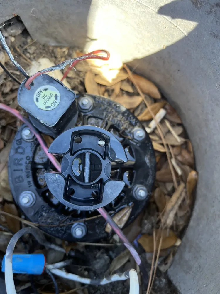 Affordable landscape design in Houston, TX - Frank's Irrigation Repair