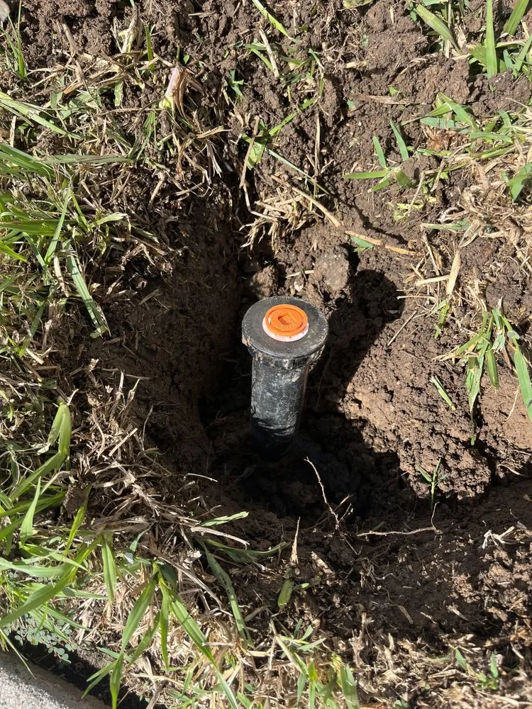 Professional residential landscaping in Houston, TX by Frank's Irrigation Repair