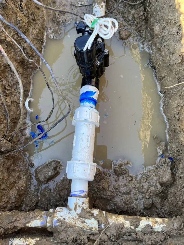 Reliable landscape installation in Houston, TX by Frank's Irrigation Repair