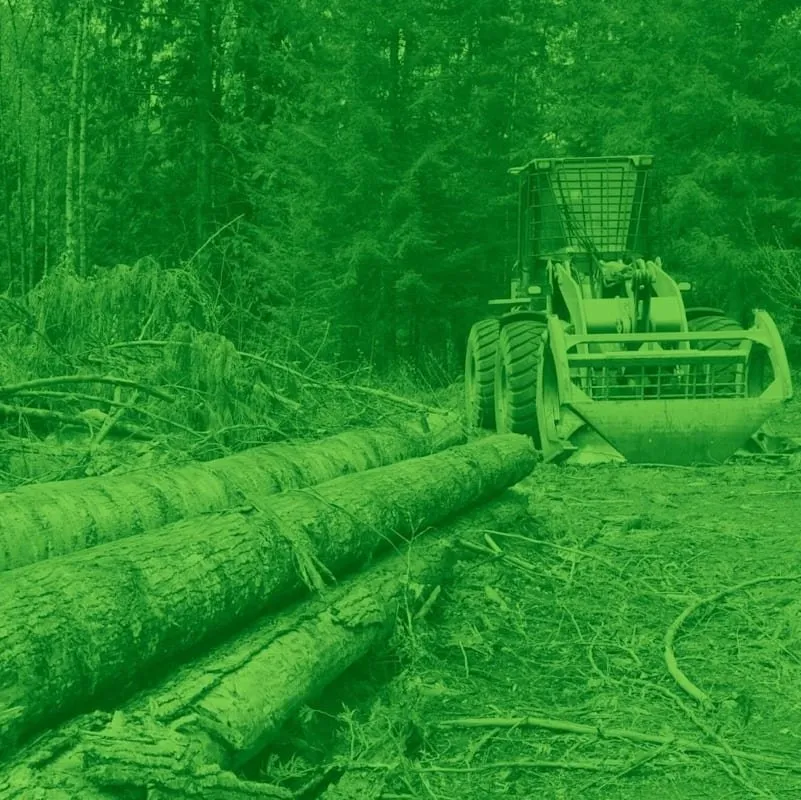 Top-rated yard maintenance for outdoor upgrades across Bay St. Louis, MS - Frank's Land Restoration