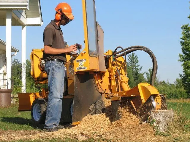 Local landscape design in Greenland, NH - Frank's Landscape and Lawn Care
