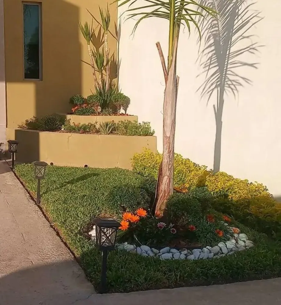 Reliable yard cleanup service for homes across Burbank, CA - Frank's Landscape