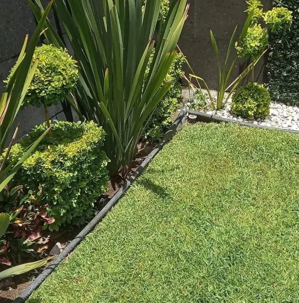 Affordable lawn mowing service in Burbank, CA by Frank's Landscape