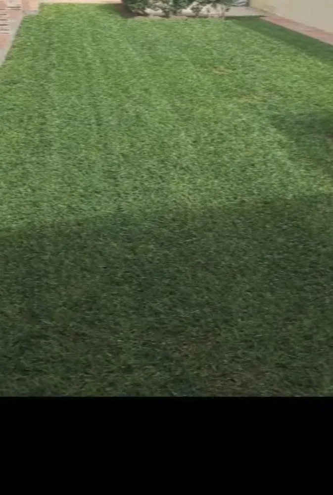 Top-rated yard maintenance for residential properties across Burbank, CA - Frank's Landscape