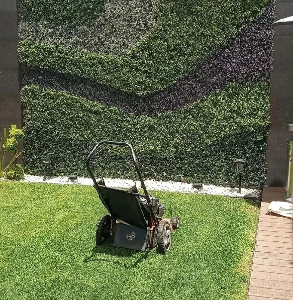 Affordable landscape installation in Burbank, CA - Frank's Landscape