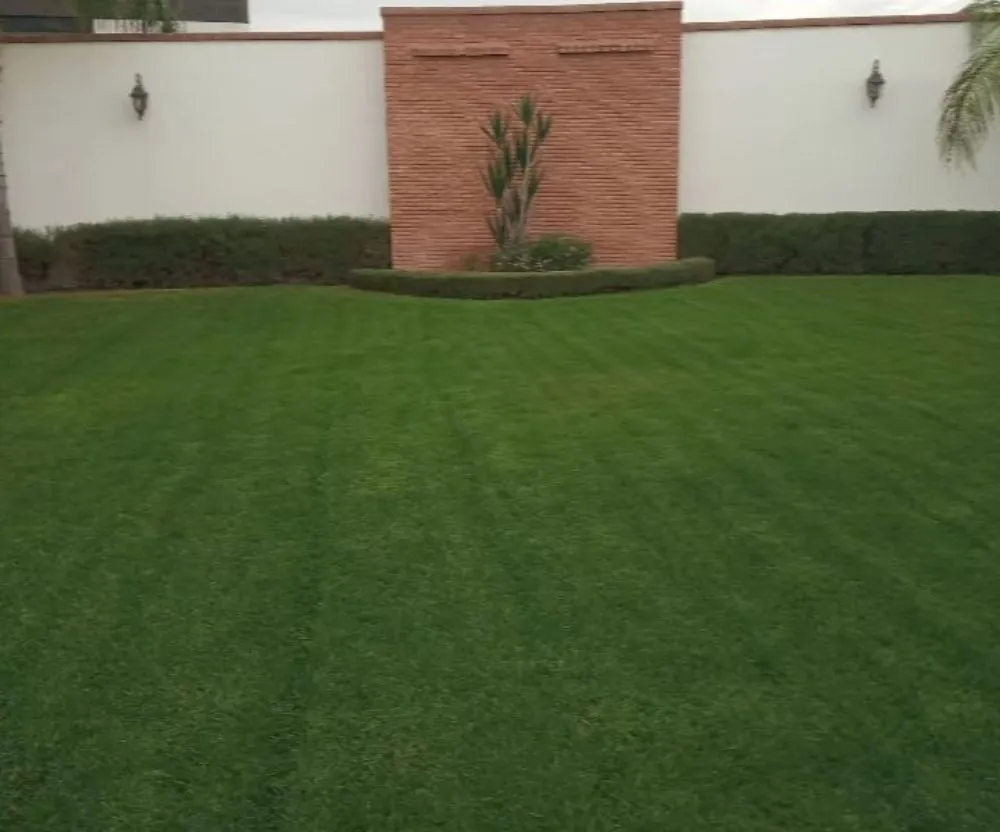 Reliable landscaping services experts serving Burbank, CA - Frank's Landscape