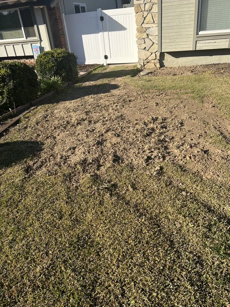 Affordable yard maintenance in Whittier, CA - Franks Landscape Design