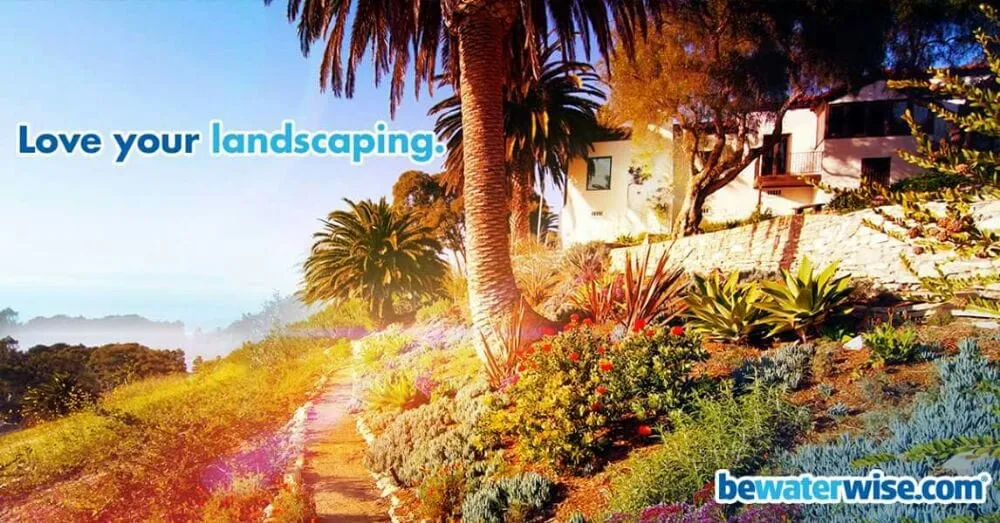 Reliable lawn mowing service with custom design across Whittier, CA - Franks Landscape Design