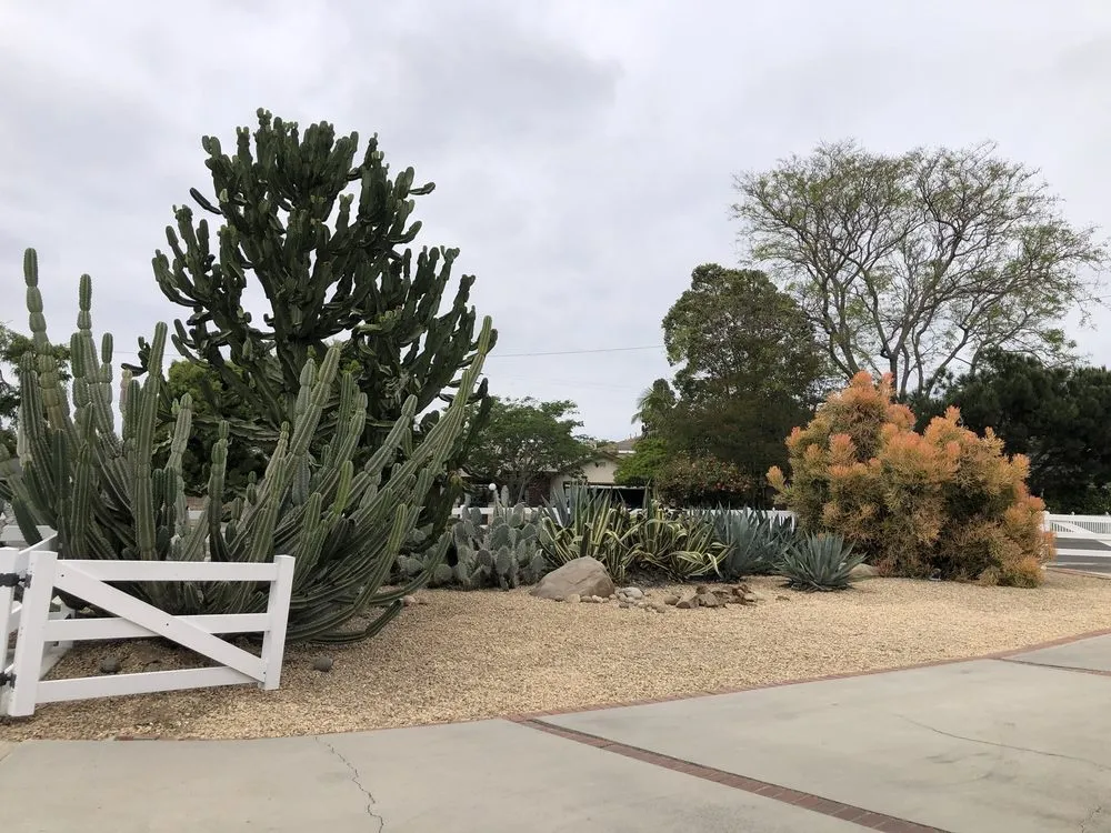 Affordable landscape design experts serving Whittier, CA - Franks Landscape Design