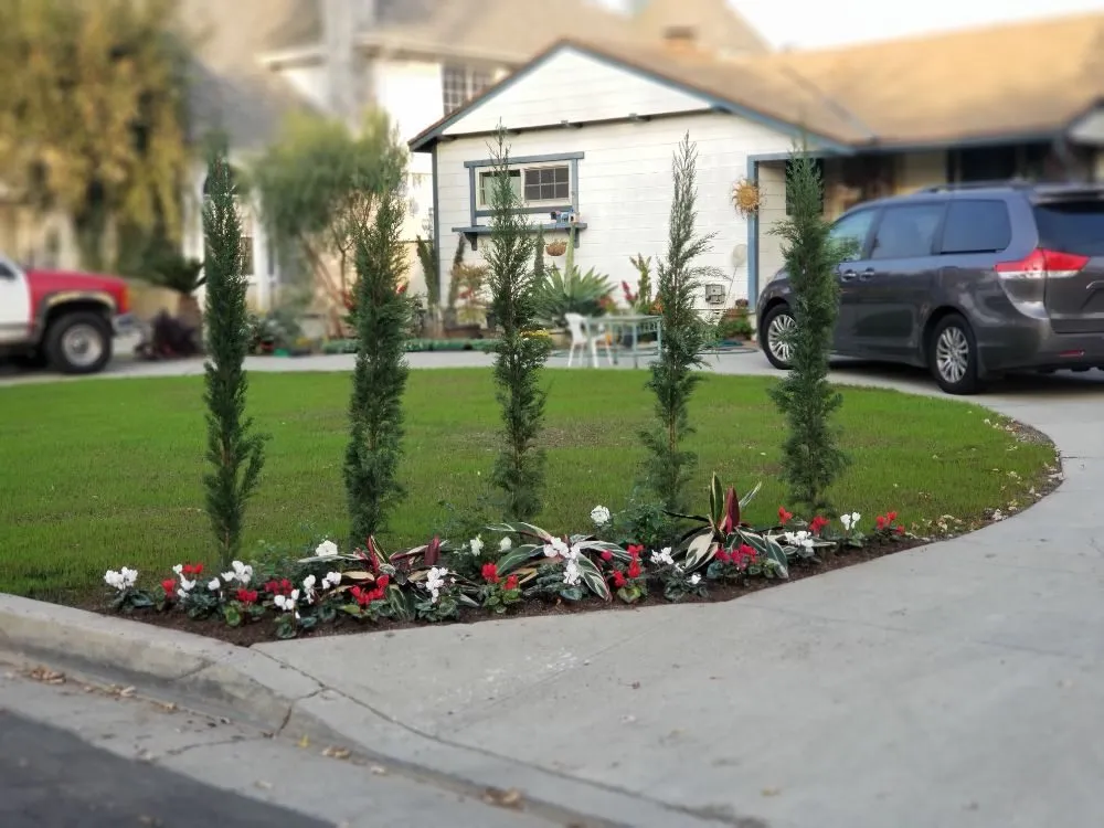 Reliable landscape installation with custom design across Whittier, CA - Franks Landscape Design