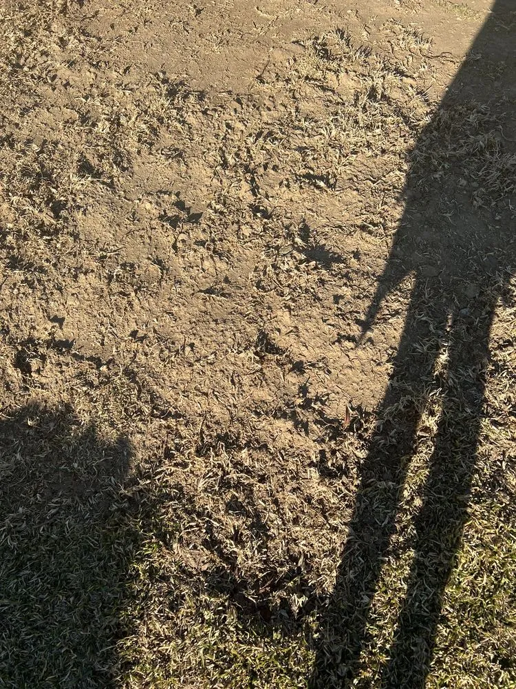 Trusted lawn care service near you in Whittier, CA by Franks Landscape Design