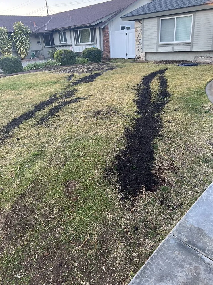 Local yard cleanup service near you across Whittier, CA - Franks Landscape Design