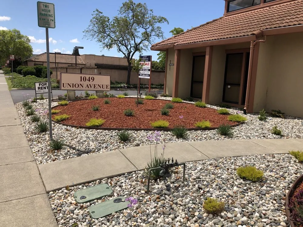 Top-rated yard cleanup service experts serving Napa, CA - Frank's Landscaping and Concrete