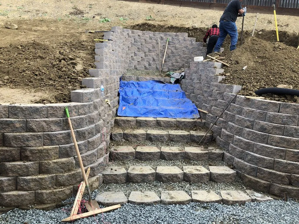 Trusted lawn care service for beautiful yards in Napa, CA by Frank's Landscaping and Concrete