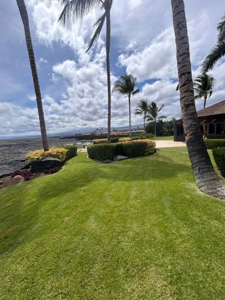 Top-rated landscape installation in Kailua-Kona, HI by Frank's Landscaping