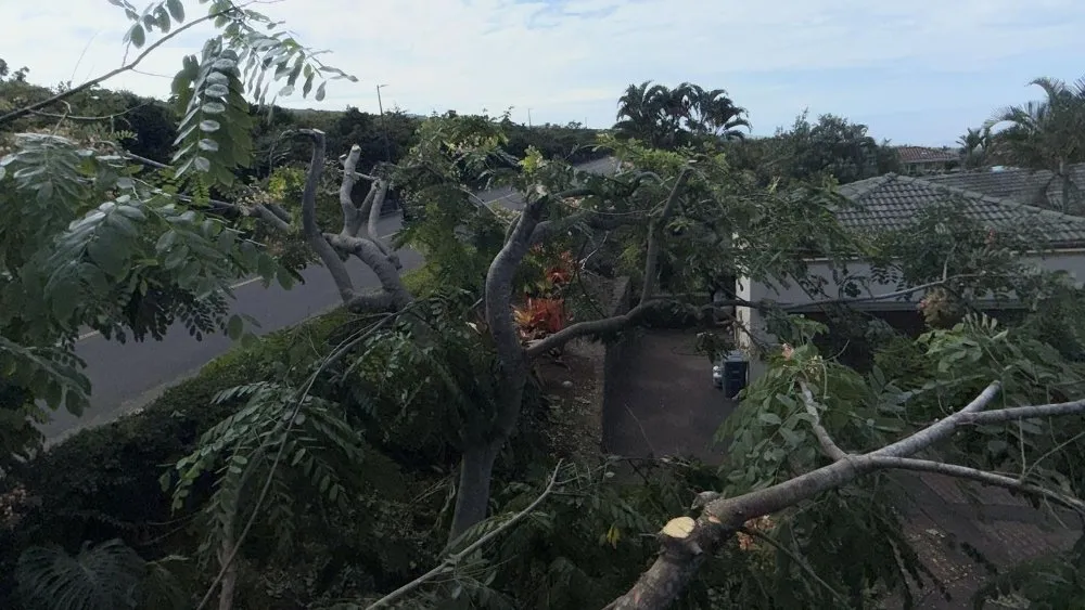 Professional outdoor landscaping experts serving Kailua-Kona, HI - Frank's Landscaping