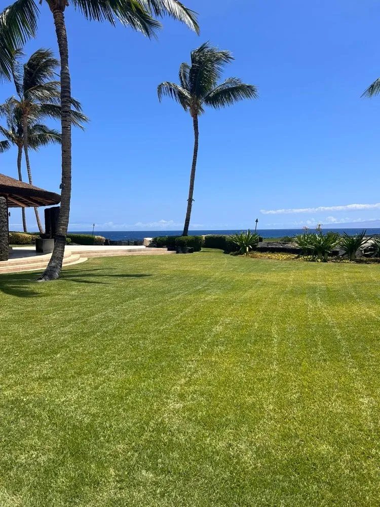 Expert residential landscaping in Kailua-Kona, HI - Frank's Landscaping