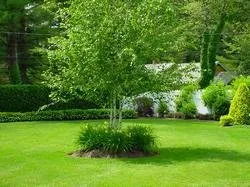 Expert lawn mowing service experts serving West Bridgewater, MA - Frank's Landscaping