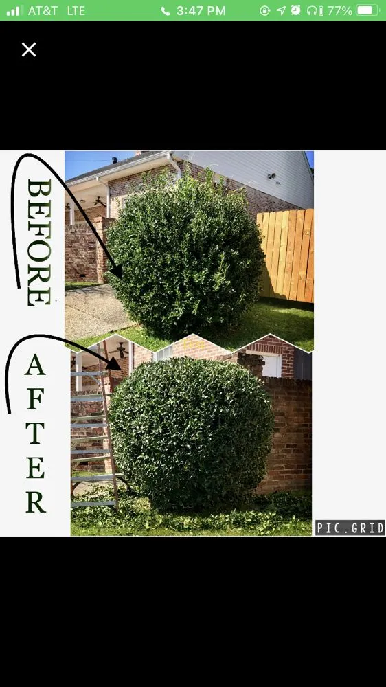 Trusted garden landscaping in Rayne, LA by Franks Lawn & Maintenance