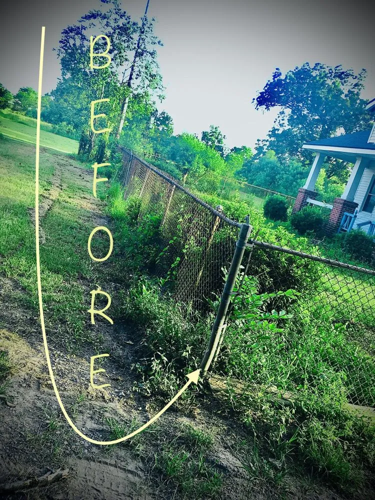 Affordable outdoor landscaping with custom design in Rayne, LA by Franks Lawn & Maintenance