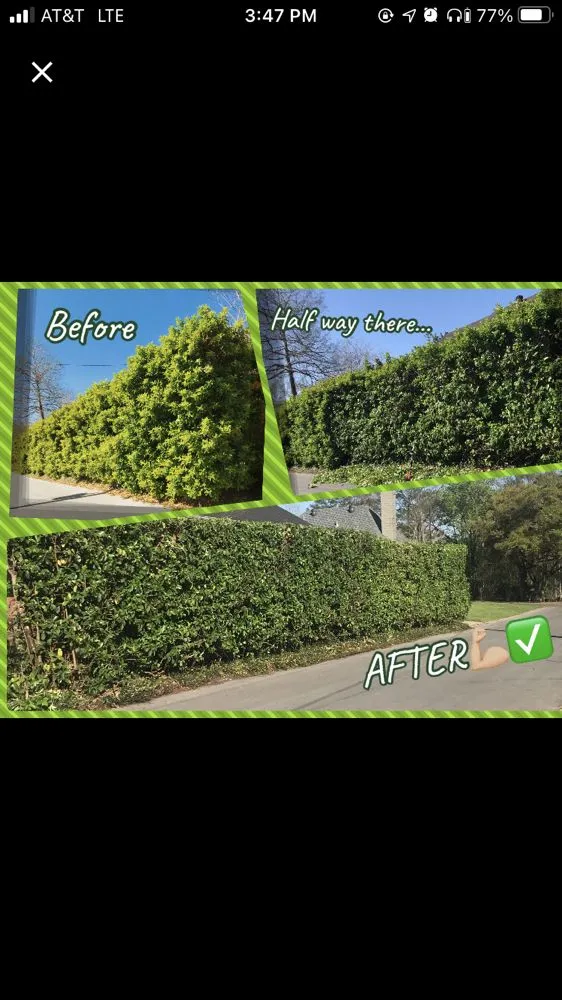 Custom garden landscaping experts serving Rayne, LA - Franks Lawn & Maintenance