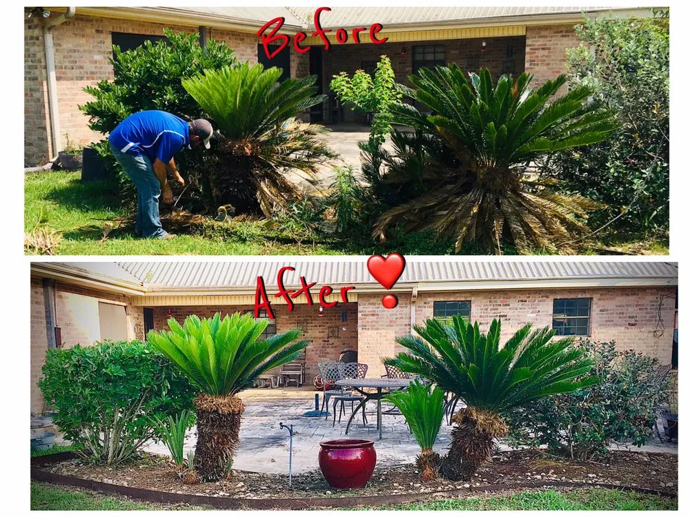 Affordable landscape installation in Rayne, LA - Franks Lawn & Maintenance