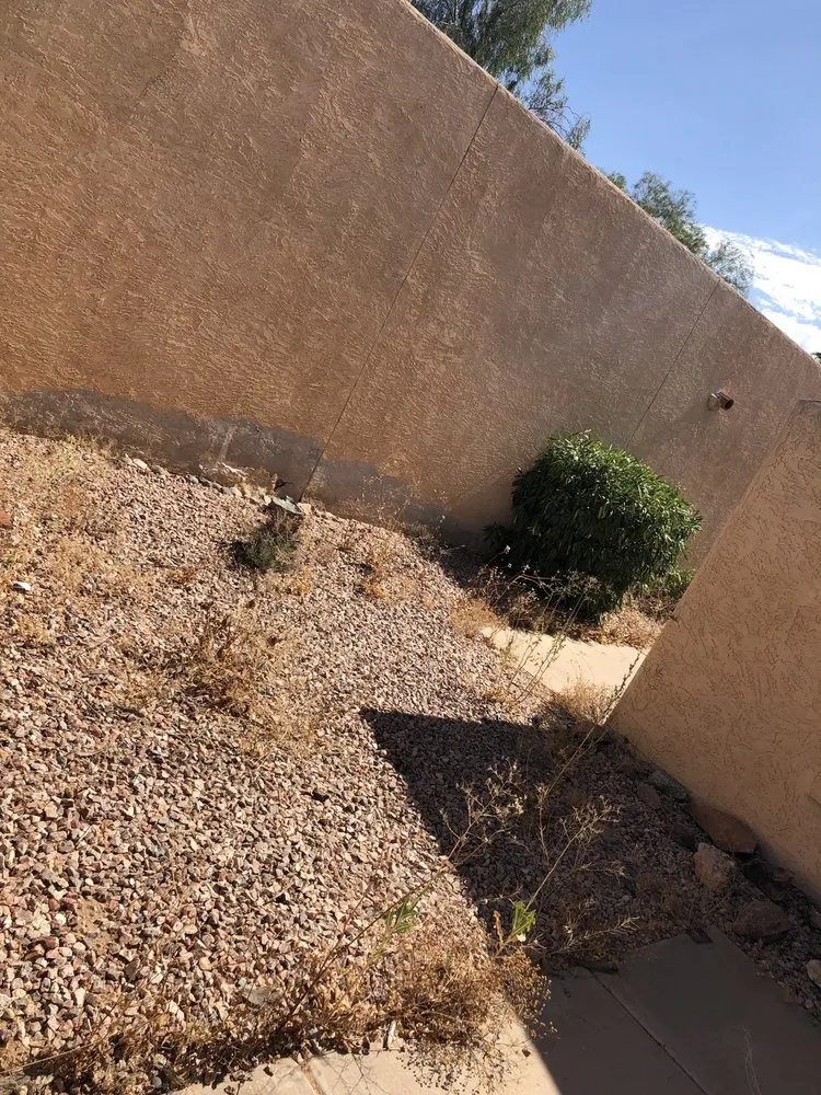 Affordable residential landscaping in Miami, FL by Frank's Lawn & Tree Service