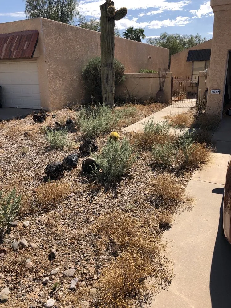 Top-rated landscape installation for beautiful yards across Miami, FL - Frank's Lawn & Tree Service