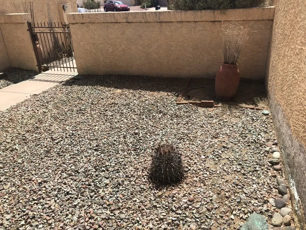 Custom landscaping services for outdoor upgrades in Miami, FL by Frank's Lawn & Tree Service