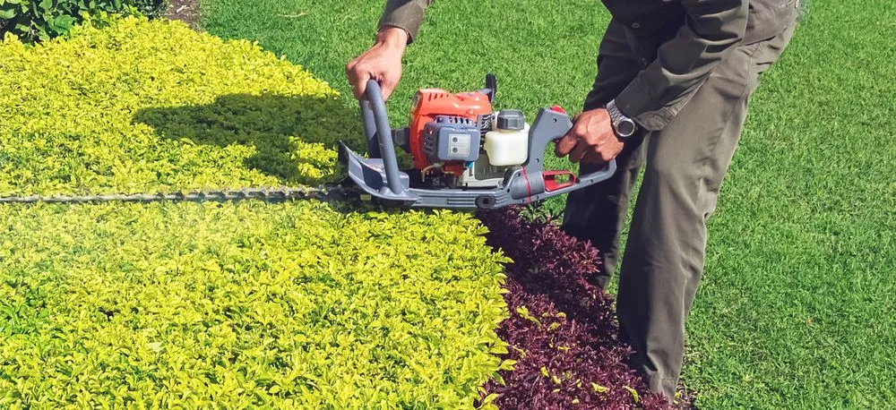 Professional yard cleanup service for residential properties in Miami, FL by Frank's Lawn & Tree Service