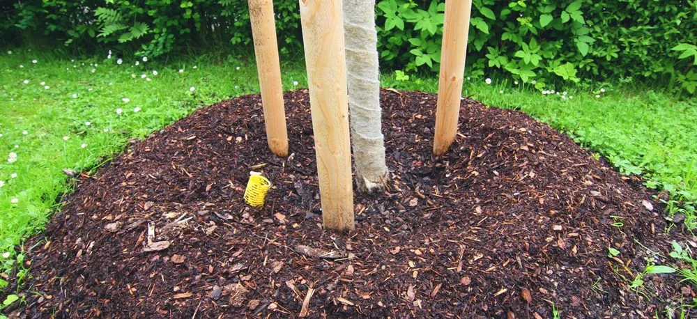 Expert landscape design experts serving Miami, FL - Frank's Lawn & Tree Service