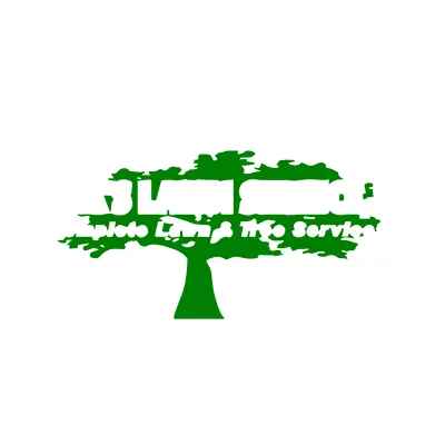 Affordable lawn care service for outdoor upgrades across Miami, FL - Frank's Lawn & Tree Service