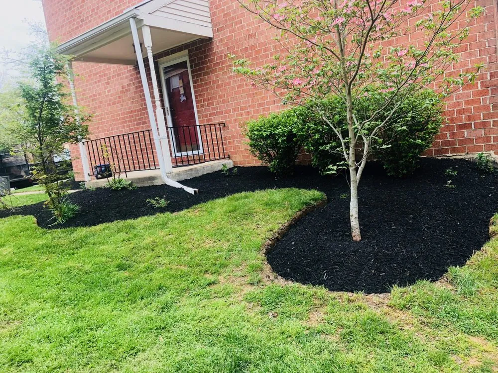 Trusted landscaping services experts serving Reisterstown, MD - Frank's Lawn and Tree Service