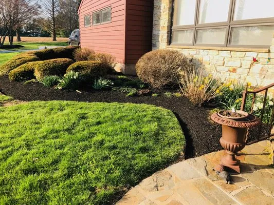 Frank's Lawn and Tree Service