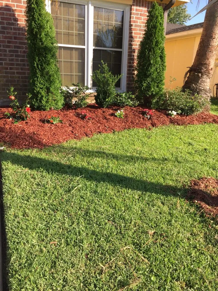 Custom yard cleanup service in Estelle, LA by Franks Lawn Care