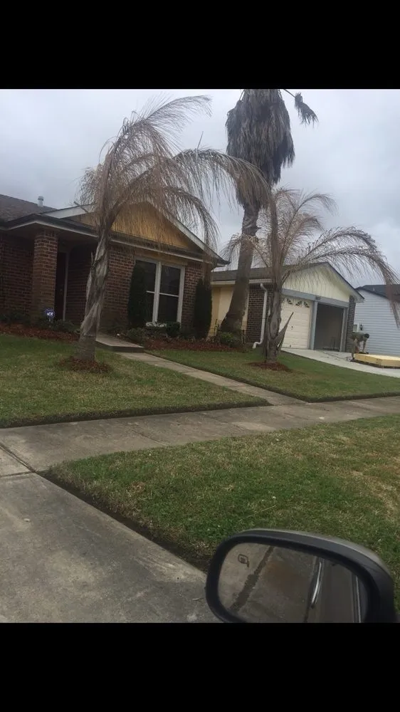 Professional yard maintenance in Estelle, LA by Franks Lawn Care