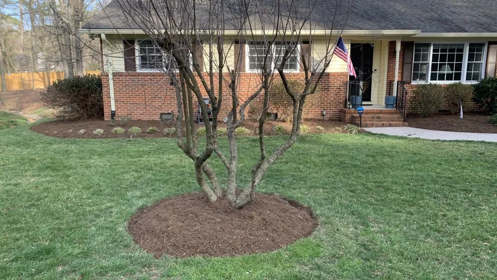 Trusted residential landscaping in Hillsborough, NC - Frank’s lawn care
