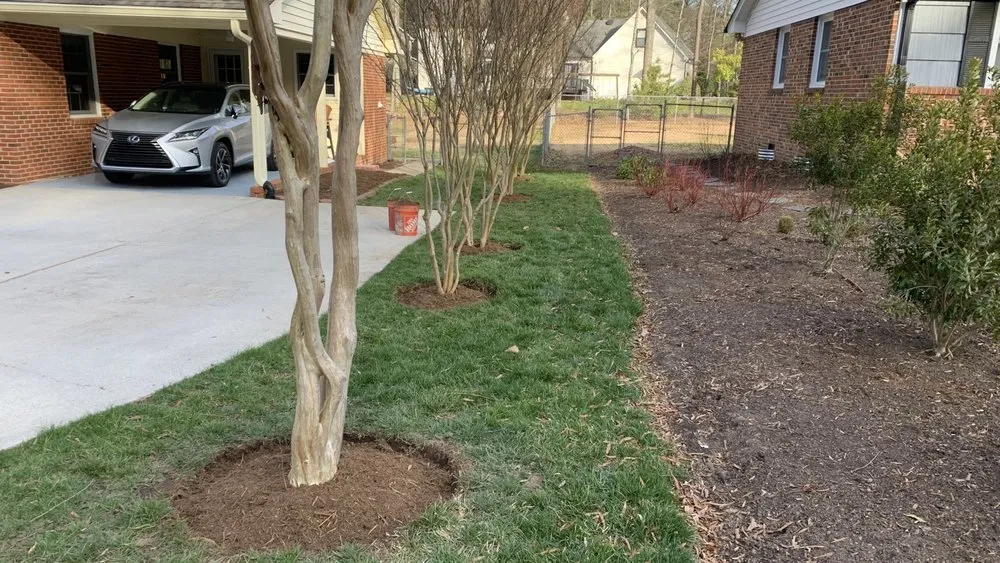 Top-rated landscaping services near you in Hillsborough, NC by Frank’s lawn care