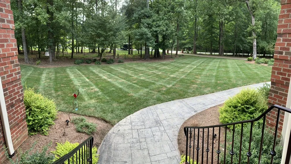 Expert yard maintenance for outdoor upgrades across Hillsborough, NC - Frank’s lawn care