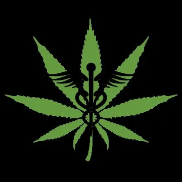 Affordable landscaping services in Hillsborough, NC - Frank’s lawn care