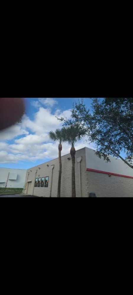 Local landscape design experts serving Homestead, FL - Frank's Lawn Care