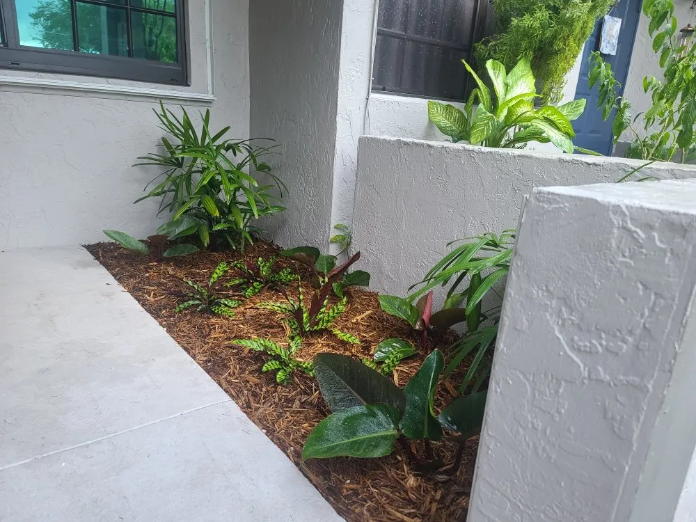 Expert landscaping services in Homestead, FL - Frank's Lawn Care