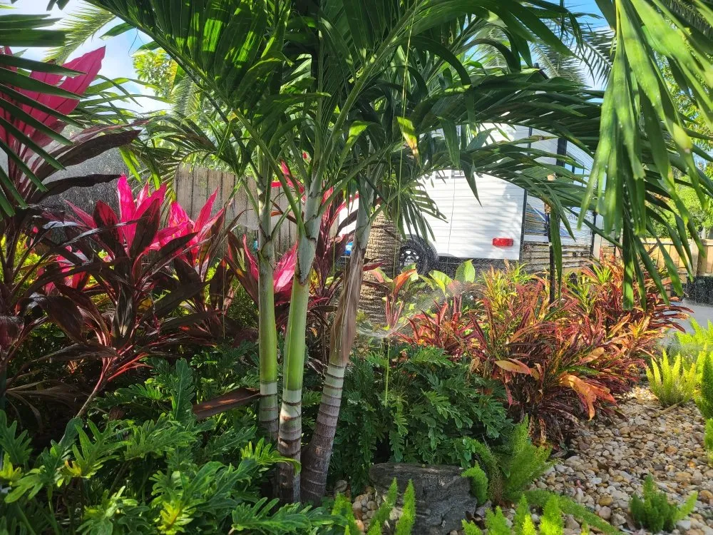 Professional landscape design for outdoor upgrades across Homestead, FL - Frank's Lawn Care